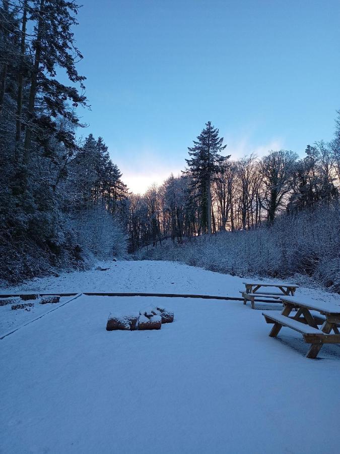 The West Wing At Eriviat Hall Hot Tub Henllan (Clwyd) Exterior foto
