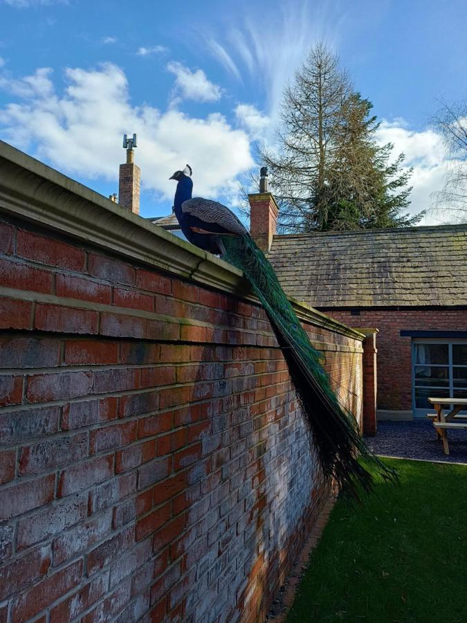 The West Wing At Eriviat Hall Hot Tub Henllan (Clwyd) Exterior foto
